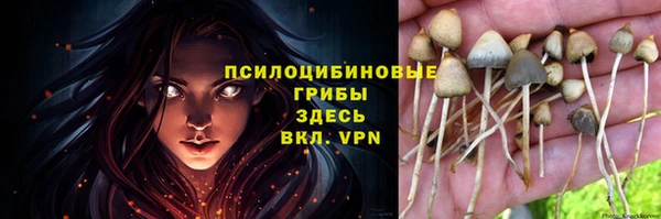 спайс Белокуриха