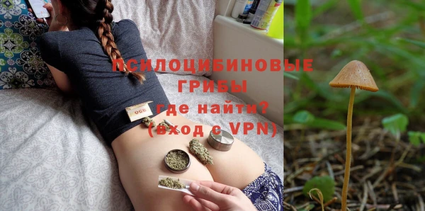 спайс Белокуриха